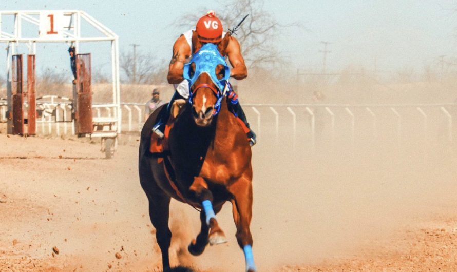 The Thrill of the Track: Delving into Horse Race Betting