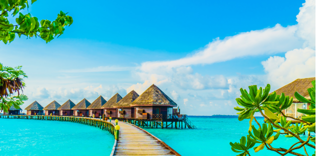 Maldives Magnificence: Crafting Your Dream Tropical Getaway